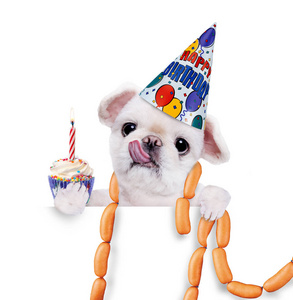 生日与香肠狗