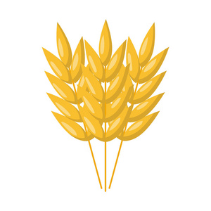 矢量卡通燕麦种子照片