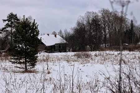 房子农村冬天