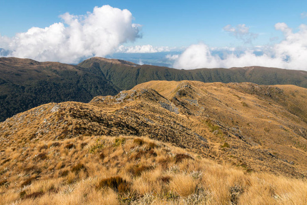 Paparoa 国家公园山脉, 西, 海岸, 南岛, 新西兰