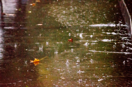 秋日里的阴雨天图片