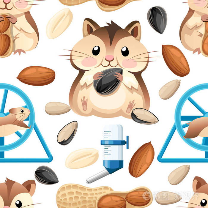 仓鼠笼, 轮和自动饮用.卡通人物设计.白色背景的平面向量例证