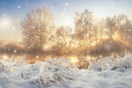 令人惊叹的冬季景象, 明亮的早晨日出与充满活力的阳光通过霜冻和下雪的树木。冬季降雪。自然景观的冷圣诞节早晨。圣诞节背景