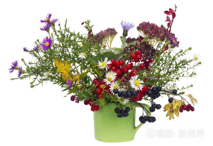 朴素的农村10 月花束照片 正版商用图片0tbvcj 摄图新视界 朴素的农村10 月花束照片 正版商用图片0tbvcj 摄图新视界