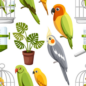 无缝的模式。笼子里有鸟, 饮水者和花盆。卡通风格的图标。白色背景的平面向量例证