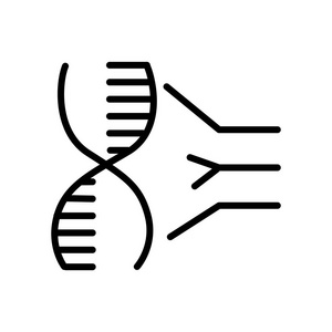 在白色背景dna 透明符号线性和描边元素中分离出的 dna 图标矢量