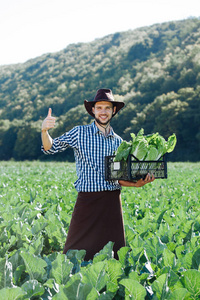 戴着帽子的年轻人, 里面有成熟的卷心菜。快乐农夫收割在他的领域