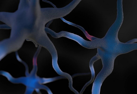 神经元在大脑 3d 图连接
