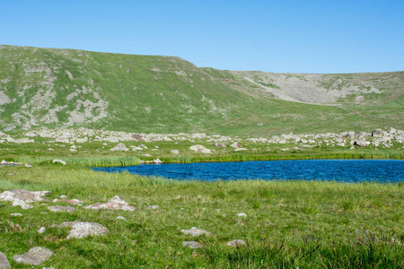 在 Artvin 中的绿色自然背景下的高原湖