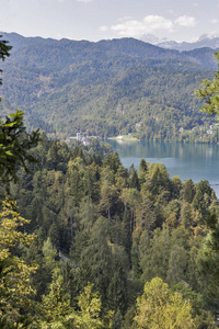 从上述在斯洛文尼亚的布莱德湖观点