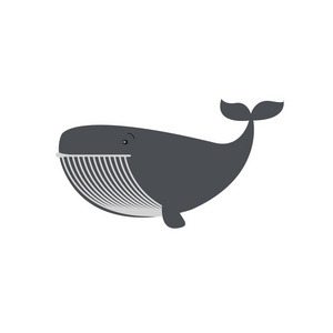 鲸鱼海豚海设计图标矢量