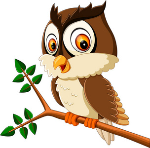 可爱的猫头鹰卡通的插图照片