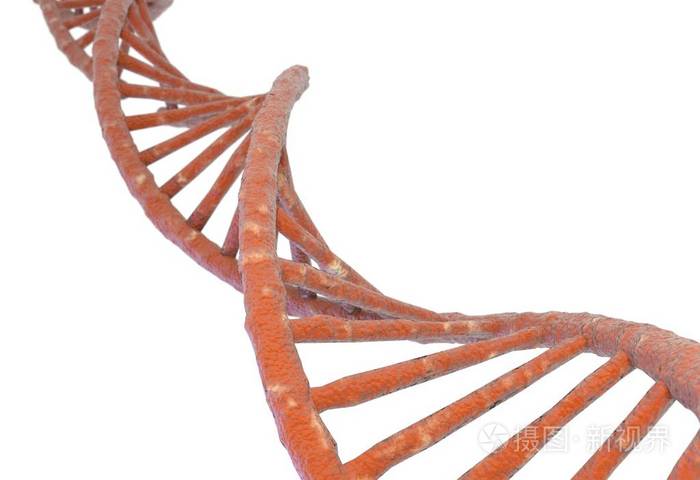 dna分子结构在白色孤立3d图