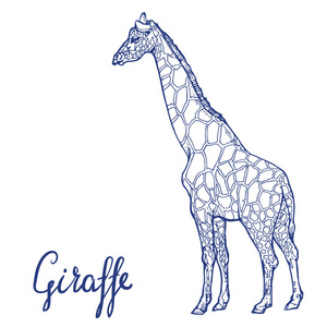 长颈鹿非洲动物线艺术手绘墨水素描白色背景股票矢量 illustraion