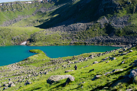 在 Artvin 中的绿色自然背景下的高原湖