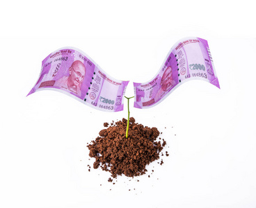 印度新流通纸币的卢比 2000年生长在植物 绿萝 金钱树 货币树 印度卢比和植物 印度卢比和增长，印度货币和增长概念上