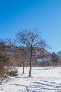 冬日的山景与雪在阳光明媚的日子里