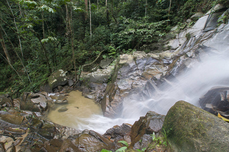热带森林中的小瀑布