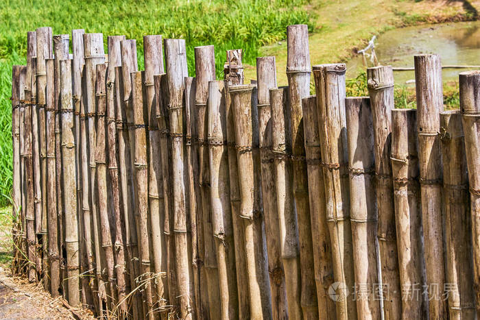 竹树围栏特写
