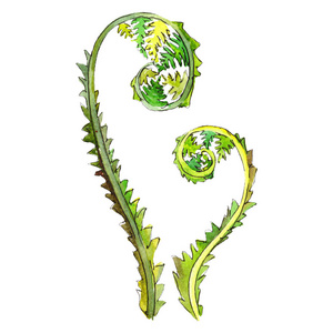 绿色元素背景图片