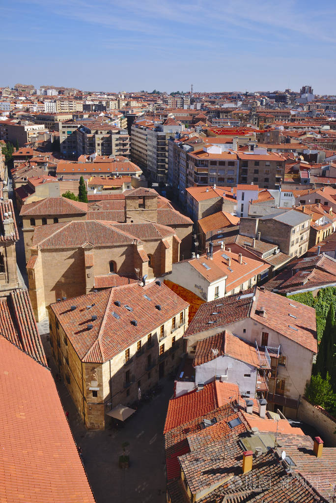 萨拉曼卡市鸟图.西班牙, 欧洲