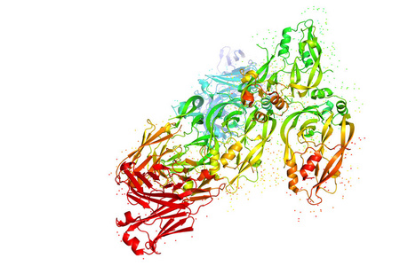 蛋白质分子的三维晶体结构, 肿瘤生长标志物。生物聚合物的3d 模型是一种肽