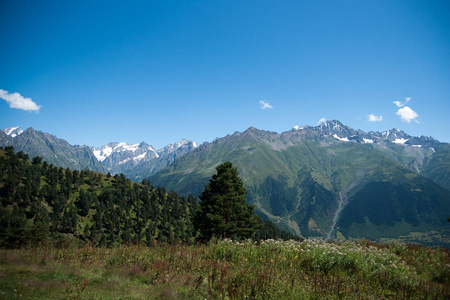 在山中徒步旅行