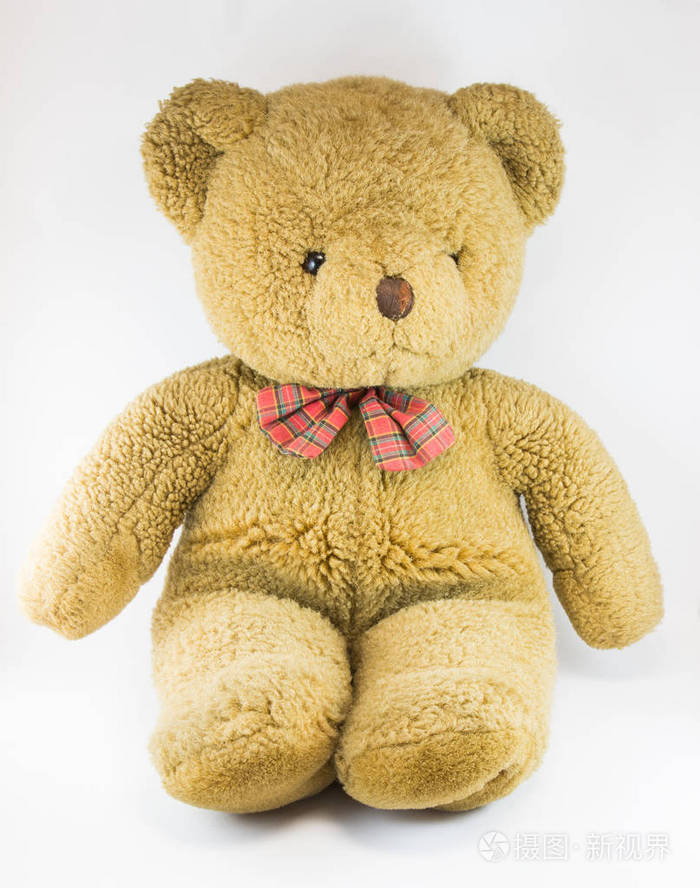 可爱小泰迪熊