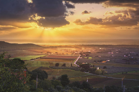 Bolgheri 和 Castagneto 葡萄园空中全景在日落。母马