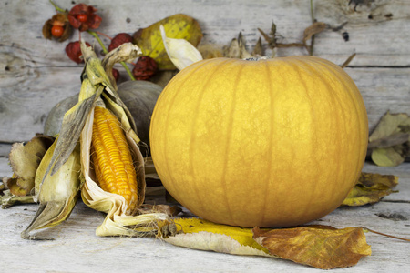 感恩节快乐，装饰着南瓜 玉米芯和秋天的落叶的木桌子上