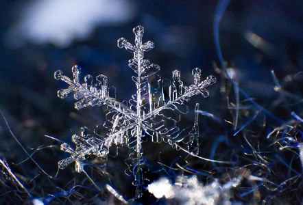 雪花极端详细的宏图片