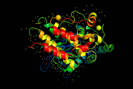 蛋白质分子的三维晶体结构, 肿瘤生长标志物。生物聚合物的3d 模型是一种肽