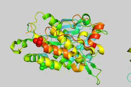 蛋白质分子的三维晶体结构, 肿瘤生长标志物。生物聚合物的3d 模型是一种肽