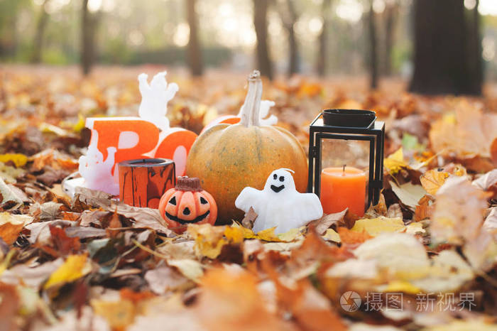 南瓜, 蜡烛, 幽灵和其他装饰元素在户外在秋季叶子万圣节概念