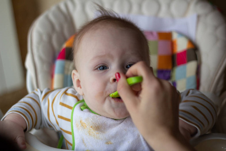 婴儿的第一次从勺子喂婴儿。妈妈用勺子喂婴儿均质切碎的食物。儿童保育