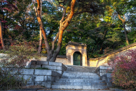 秋天秋天的颜色在昌德宫宫后门。拍摄于韩国首尔