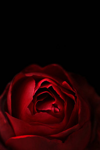 黑色水波纹图片