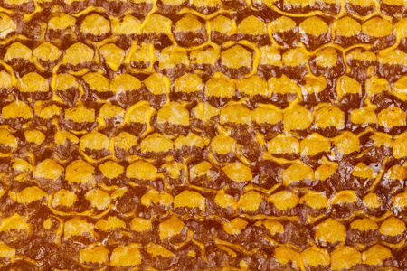 六角蜂巢蜂蜜