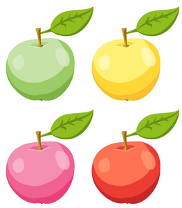 红色 黄色 粉色和绿色苹果果实和叶子的集。矢量图