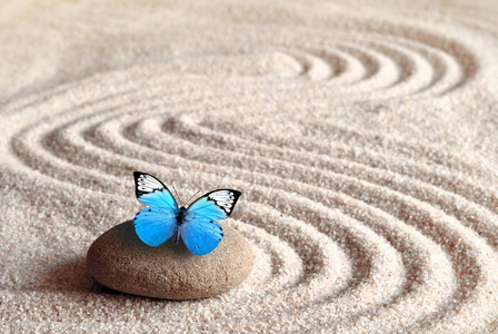 一只蓝色的生动蝴蝶在一块禅宗石头上, 在麦砂中有圆形图案