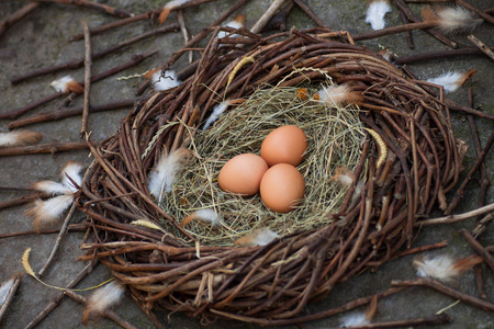 三个鸡蛋在巢