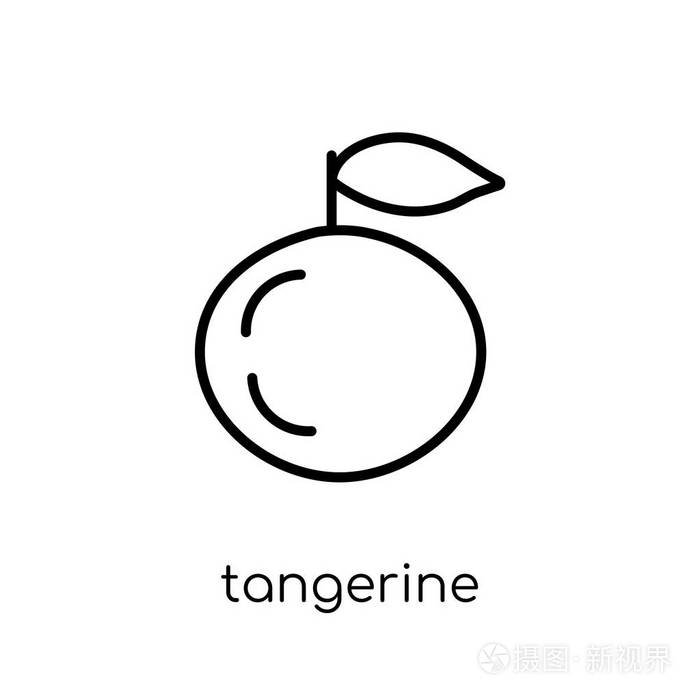 插画 橘子图标.