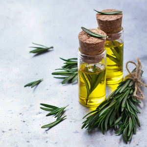 罐子的迷迭香图片