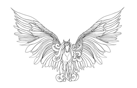 美丽的马鬃毛和翅膀.飞马座.矢量图照片