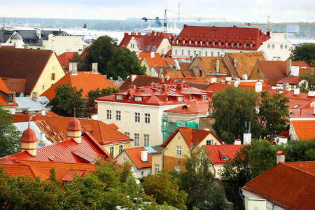 在塔林, 爱沙尼亚与明亮的屋顶的老大厦