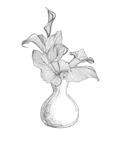 马蹄莲花的花瓶。线性图