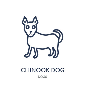 奇努克狗图标。奇努克狗线性符号设计从狗收集。简单的大纲元素向量例证在白色背景