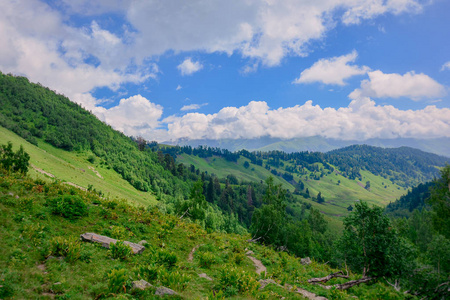 穿越阿基索山的迷人旅程