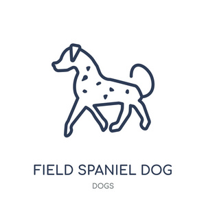 领域西班牙狗图标。领域西班牙人狗线性符号设计从狗收集。简单的大纲元素向量例证在白色背景