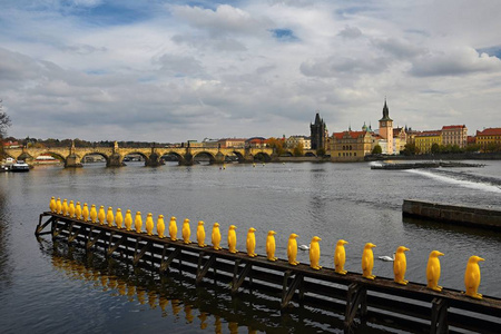 捷克共和国首都布拉格。伏尔塔瓦河河古城码头建筑与查尔斯桥景观日落观